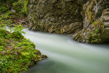 Beautiful mountain river. Flowing water.