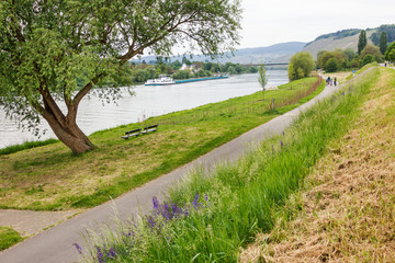 Radweg an der Mosel entlang