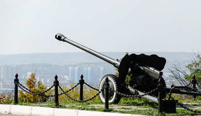 Gun © dmitrynikitenko777