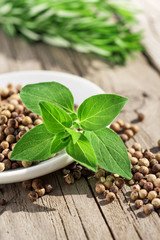 oregano,peppercorns and rosemary