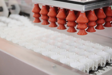 Machine for the egg package
