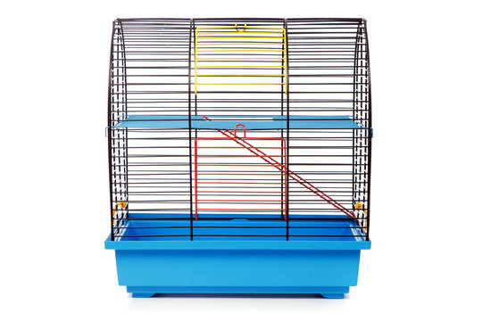 Pet Rodent Cage