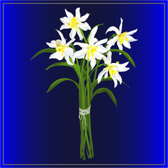 Fototapeta na wymiar Spring bouquet of daffodils
