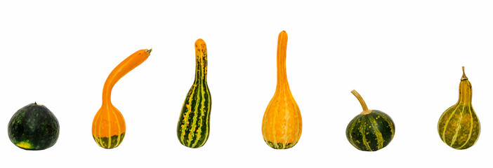 Colored small pumpkins, isolated