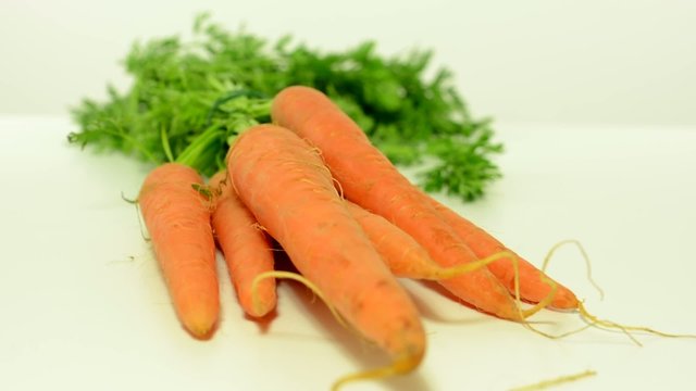 vegetables - carrot - white background studio