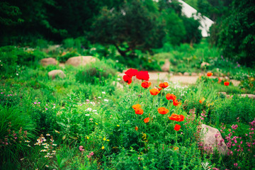 Garden Landscaping Design. Flower Bed, Green Trees And Bushes In
