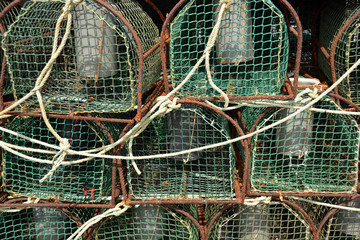 trampas para la captura de marisco