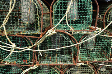 trampas para la captura de marisco