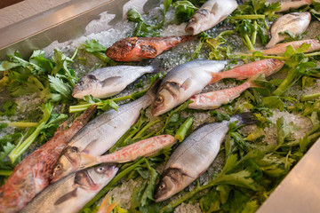 Banco del pesce fresco