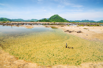 Dead woods and a flooding pond