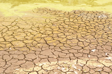 Land with dry and cracked earth background
