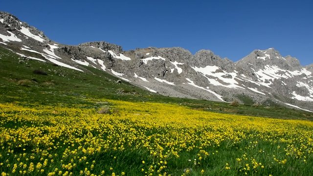 k&uuml;pe dağı zirvesinde bahar g&uuml;zellikleri
