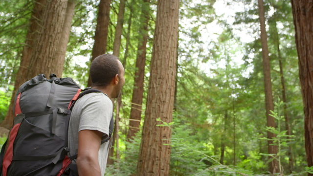 A man in the forest with a backpack looks around at the trees and then smiles to the camera
