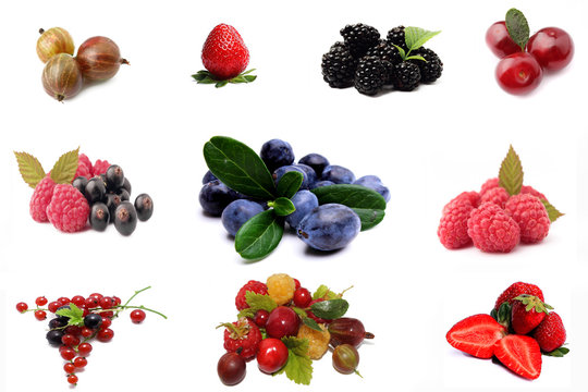 collage of fruits and berries on a white background