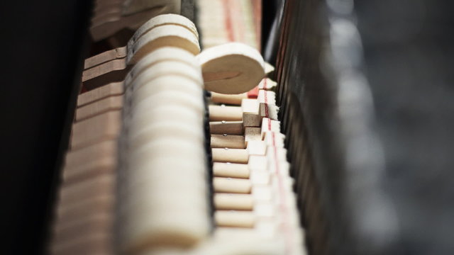Inside the Piano. Hammers striking strings.