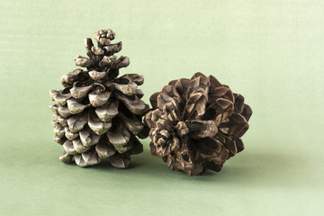 Two pine cones