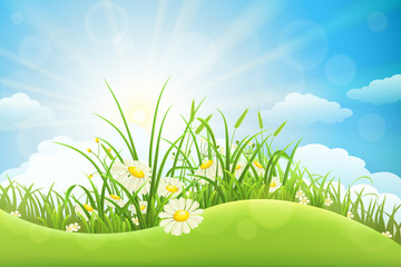 Summer meadow background with green grass, flowers, hill and sun
