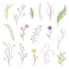 Fototapete Aquarell Natur Set Vektor-Illustration von abstrakten floralen Elementen