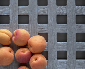apricot, apricots