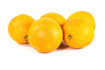 Oranges on white stock-image