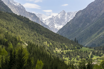 Fototapeta na wymiar Mountains in Kyrgyzstan