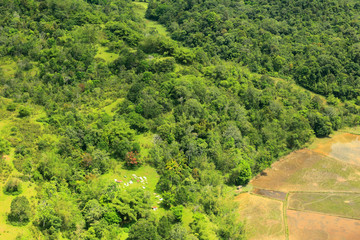 Fototapeta na wymiar Rice filed and mountain of Borneo (Aerial Shoot)