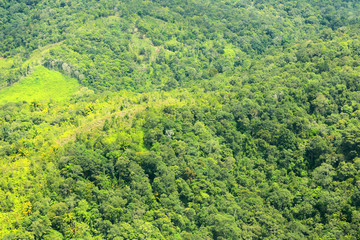 Rice filed and mountain of Borneo (Aerial Shoot)