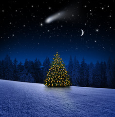 Weihnachtsbaum vor Sternenhimmel