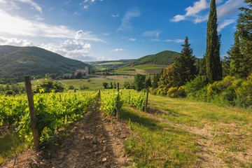 Naklejka premium Medieval church among vineyards in the sunny summer Tuscany, Mon