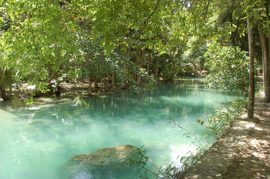 Kawasan River In Cebu, Philippines