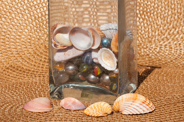 shells - Muscheln auf Bastmatte