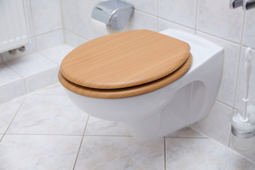 cleaning - WC reinigen, putzen