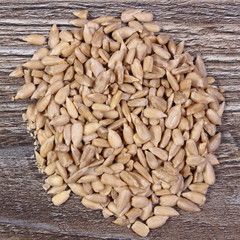 Heap of sunflower seeds on wooden background