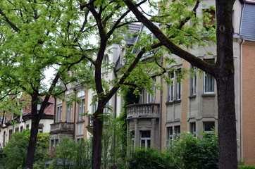 Altbauten in Freiburg