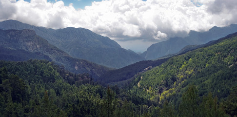 Obraz premium mountains covered with forest and clouds