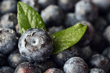 Blueberries berry.