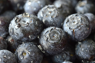 Blueberries berry.
