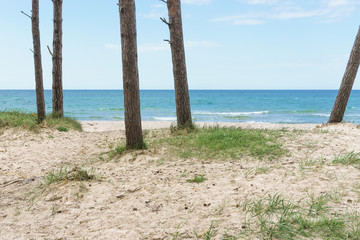 Ostseestrand auf dem Darß