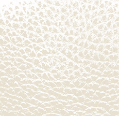 White leather vector