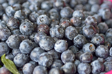 Blueberries berry.
