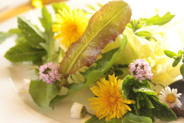 wildkräutersalat vegan wildgemüse salat  © eflstudioart