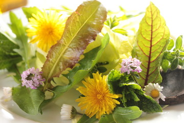 wildkräutersalat vegan wildgemüse salat  © eflstudioart