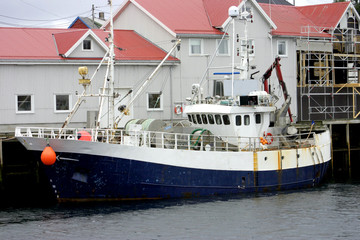 Fototapeta premium isole lofoten