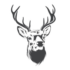 Naklejka premium Portrait of a deer head with horns. Design element for logo or tattoo.Vector illustration in black and white style