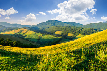 agricultural fields in mountains