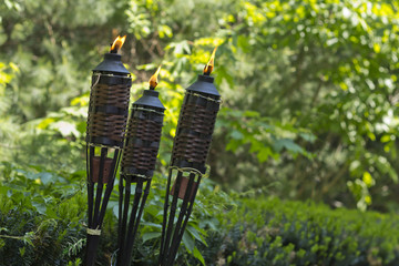 Bamboo Citronella Torch