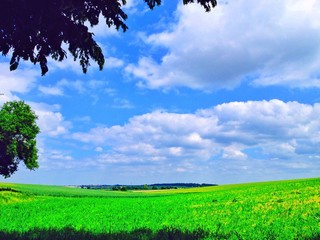 Landschaft mit Himmel und Feldern