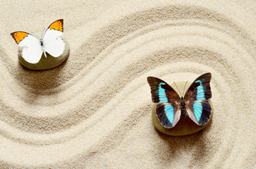 Obrazy na Szkle  Motyl na piasku