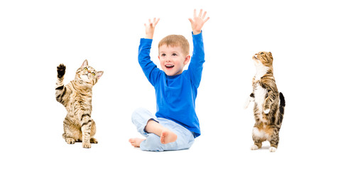 Happy boy and two cats together