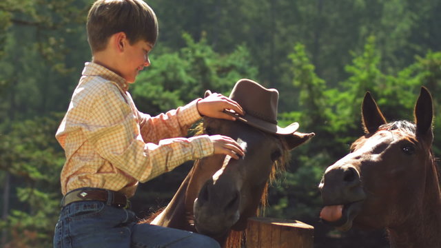 A young boy put his cowboy hat on a horse